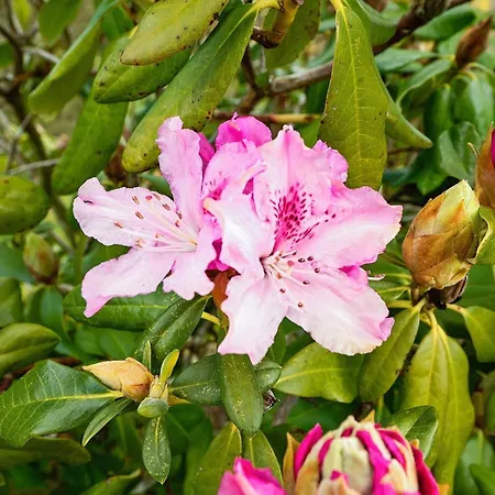 Spacious Retreat With Fjord View - By Traum Egernsund