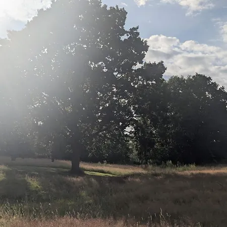 Spacious Retreat With Fjord View - By Traum * Egernsund